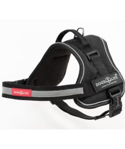 Active No Pull Control Handle Harness Black Large