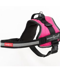 Active No Pull Control Handle Harness Hot Pink Medium