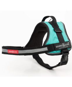 Active No Pull Control Handle Harness Turquoise Medium