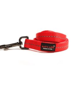 Reflective Supersoft Webbing Leash (Pink06) Large
