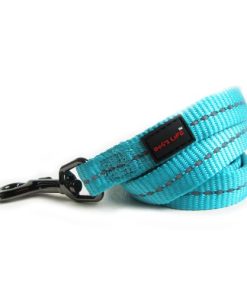 Reflective Supersoft Webbing Leash (Turquoise10) Extra Large