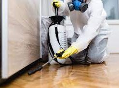 woodworm treatment