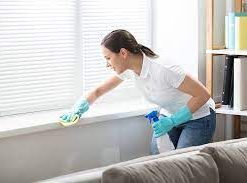 whole house cleaning services