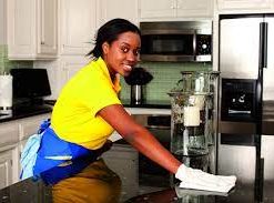window cleaning business