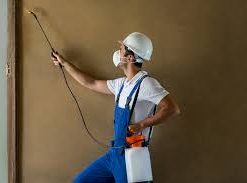 wasp nest removal cost
