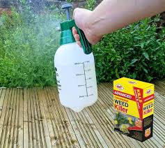 wood borer treatment
