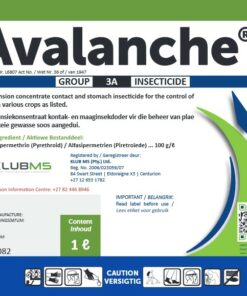Avalanche 1L