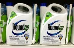 dwayne johnson monsanto