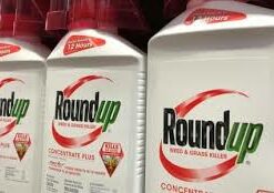 Efekto ready to use roundup 5l 33517