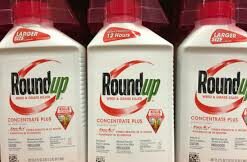 Efekto ready to use roundup 5l 33518