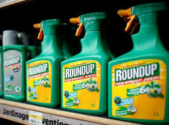 Efekto ready to use roundup 5l 33520