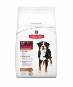 Advanced Fitness Adult Large Breed Lamb & Rice 12Kg