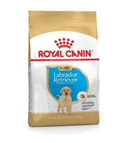 bhn golden retriever junior 12kg