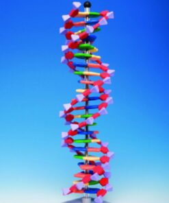 Protein Kit RNA-24 PS