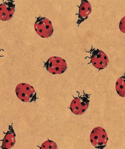 Ladybird on Brown Tissue Roll (50m)