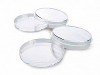 Petri Dishes