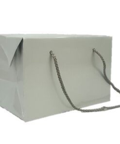 Silver Gloss Box Bag with Cord Handles (S)