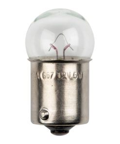 Globe Single Filament 12V G67