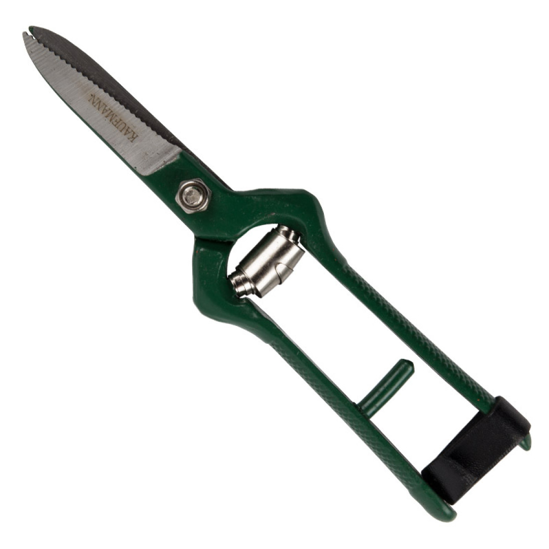 Kaufmann Shear Grape Harvest - Image 2
