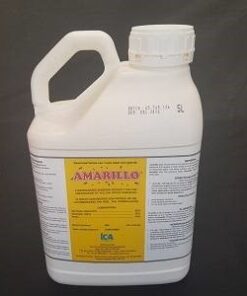 Amarillo (1L)