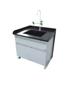 Laboratory Sink With Faucet