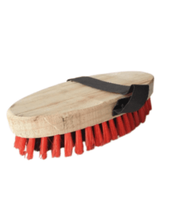 Body Brush with elastic strap