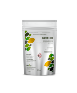 Cappie™ 800