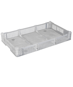 PI-EB-536 Export Berry Tray – Virgin