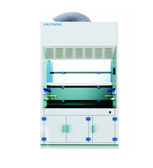 Fume Hood (Ducted)