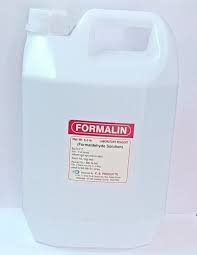Formalin 5 Lt