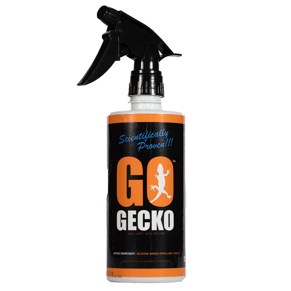 Go Gecko
