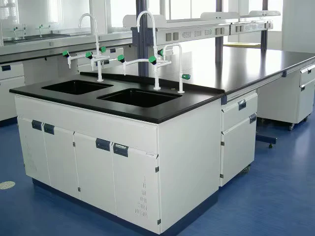 Laboratory Sink Cabinet With Faucet - Image 2