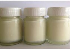 Moringa Oil (Organic) 5 Kg