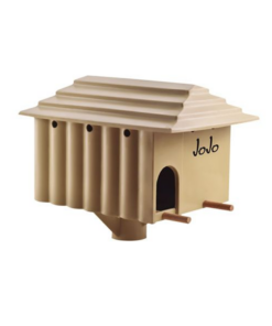 Owl House