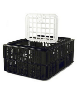 Live Bird Crate With Lid – Recycled Material – Black