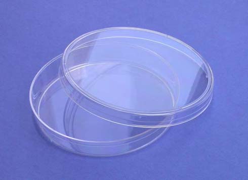 Petri Dishes 15mm x 100mm, 20/Pack