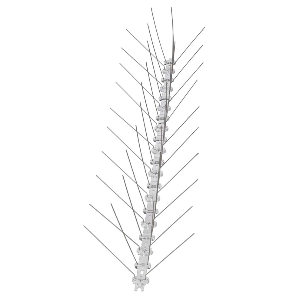Stainless Steel 2 Spike
