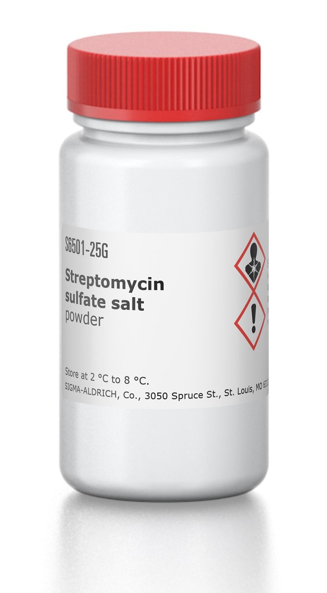 Streptomycin Sulfate Salt 25g