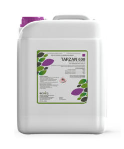 Tarzan 600