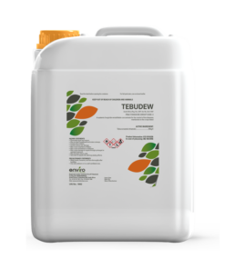 Tebudew