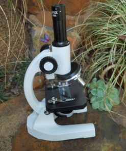 Microscope Dissecting 20x (Science Education)