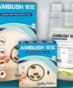 AMBUSH10 SC