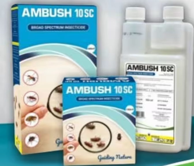 AMBUSH10 SC