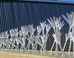 Plastic Bird Spikes, per meter