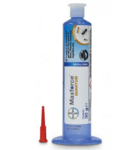 Maxforce Quantum Ant gel