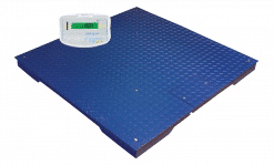 Platform Scales